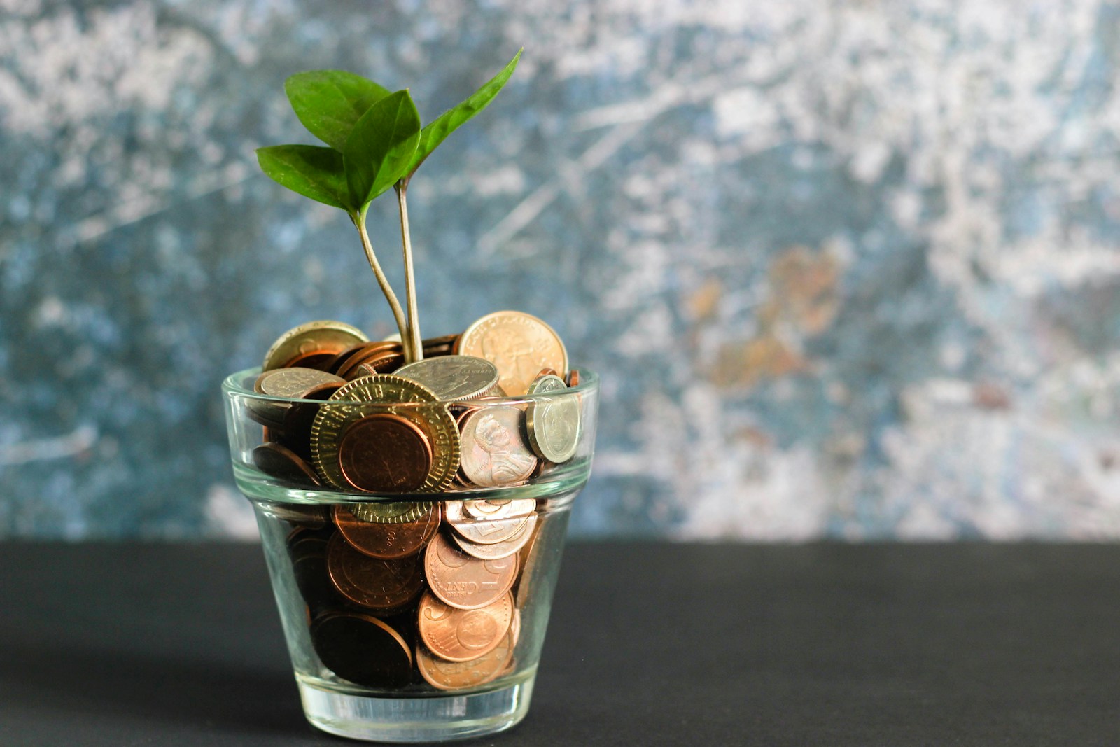 green plant in clear glass vasehow much does b2b lead generation cost